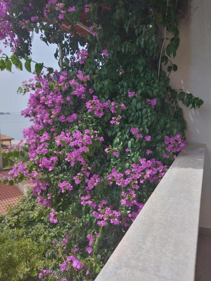 Aparthotel Luna Tsuki Seven Rovinj
